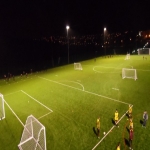 Artificial Turf Replacement 9